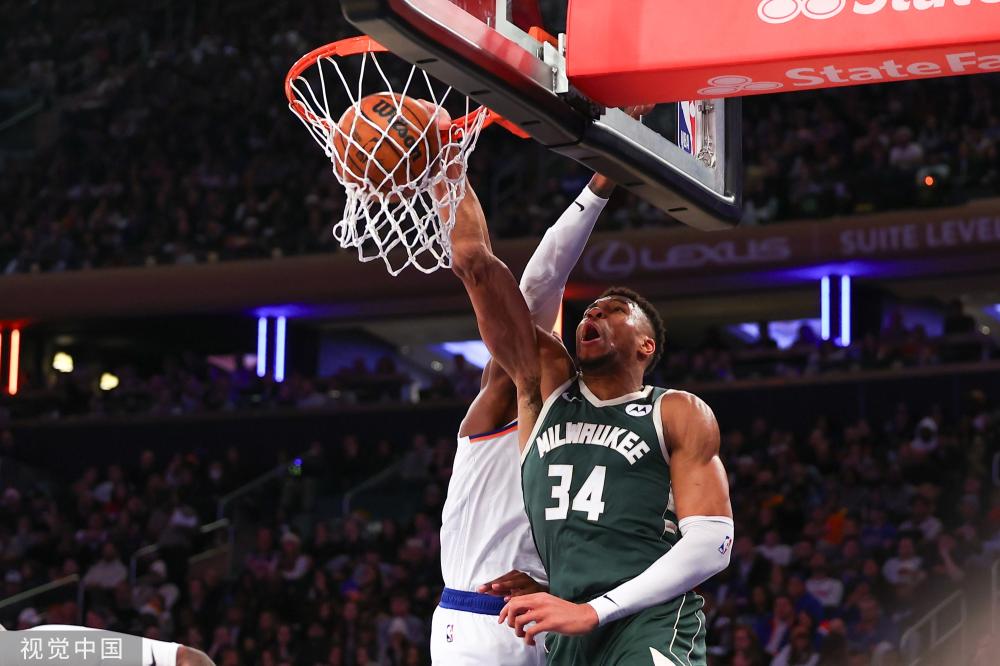 2岁的荷兰 2岁的荷兰